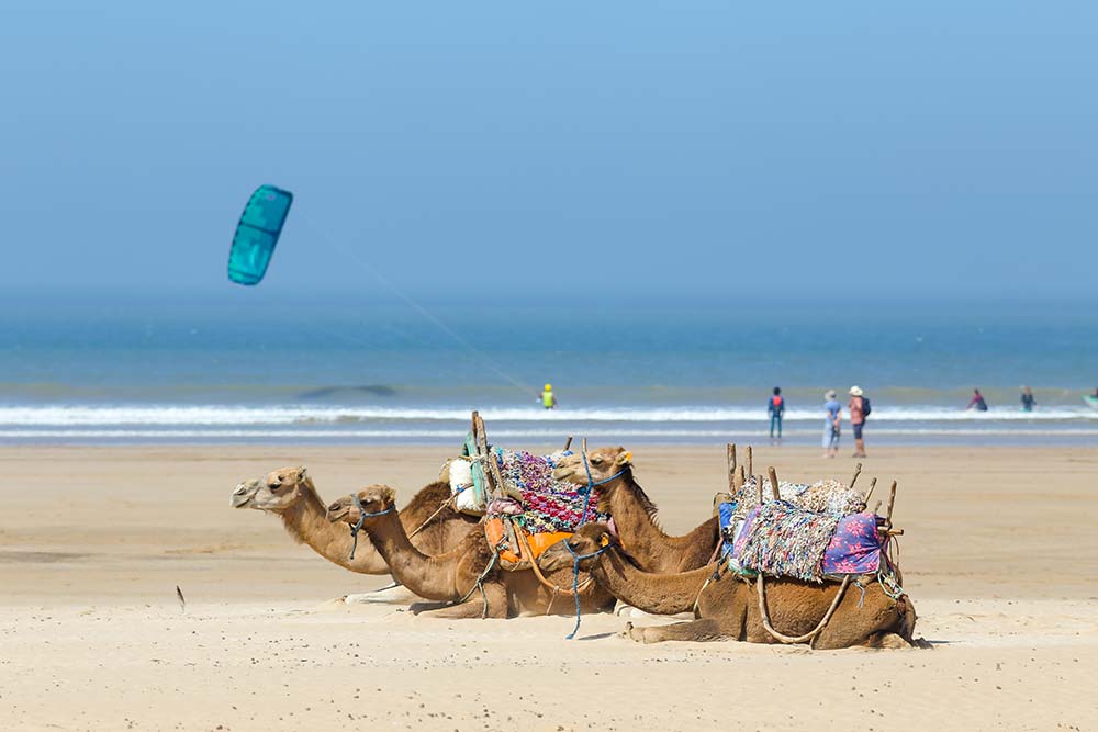Viajes a Marruecos, Excursiones al desierto de Marruecos, Rutas por Marruecos, Viajes organizados por Marruecos, Tours al desierto de Marruecos